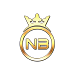 novin battri